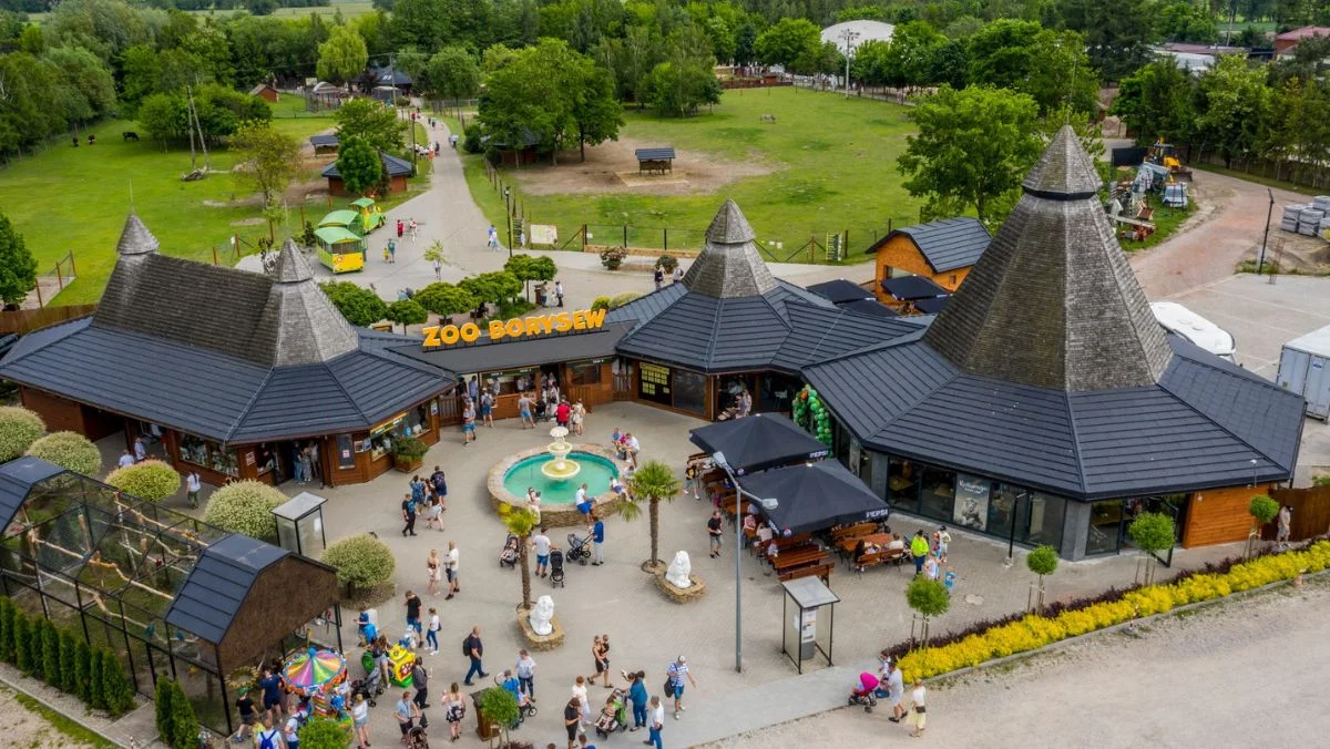 Smutek w ogrodzie zoologicznym. Odszedł kucyk Maciuś, symbol tego miejsca