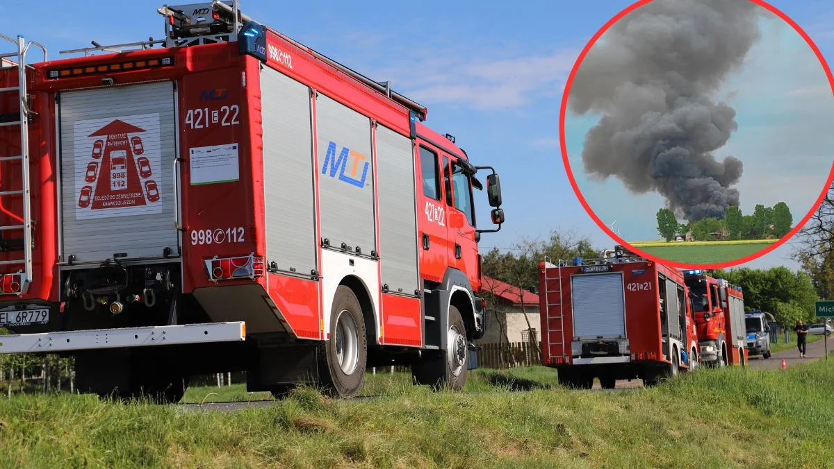 Pożar w gospodarstwie. Strażacy ewakuują zwierzęta