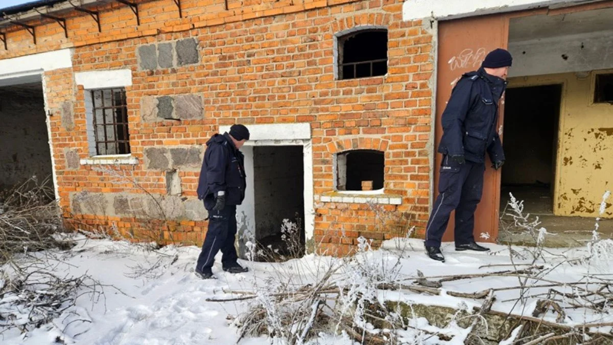 Zima nie odpuszcza. żabolenci szukają osób, które mogą potrzebować pomocy