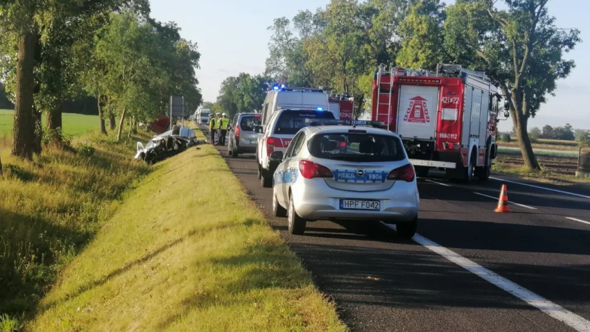 Ponad 280 osób straciło prawo jazdy. Policja podsumowała działania