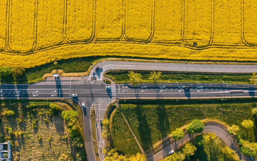 Przebudowa DK60 ma poprawić bezpieczeństwo, ale budzi sprzeciw mieszkańców. Sprawą zajęła się posłanka