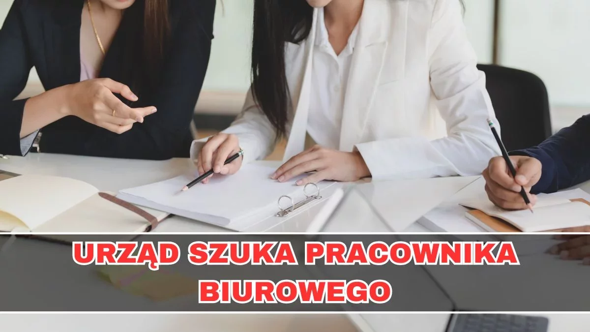 Praca w urzędzie. Jakie wymagania należy spełnić?