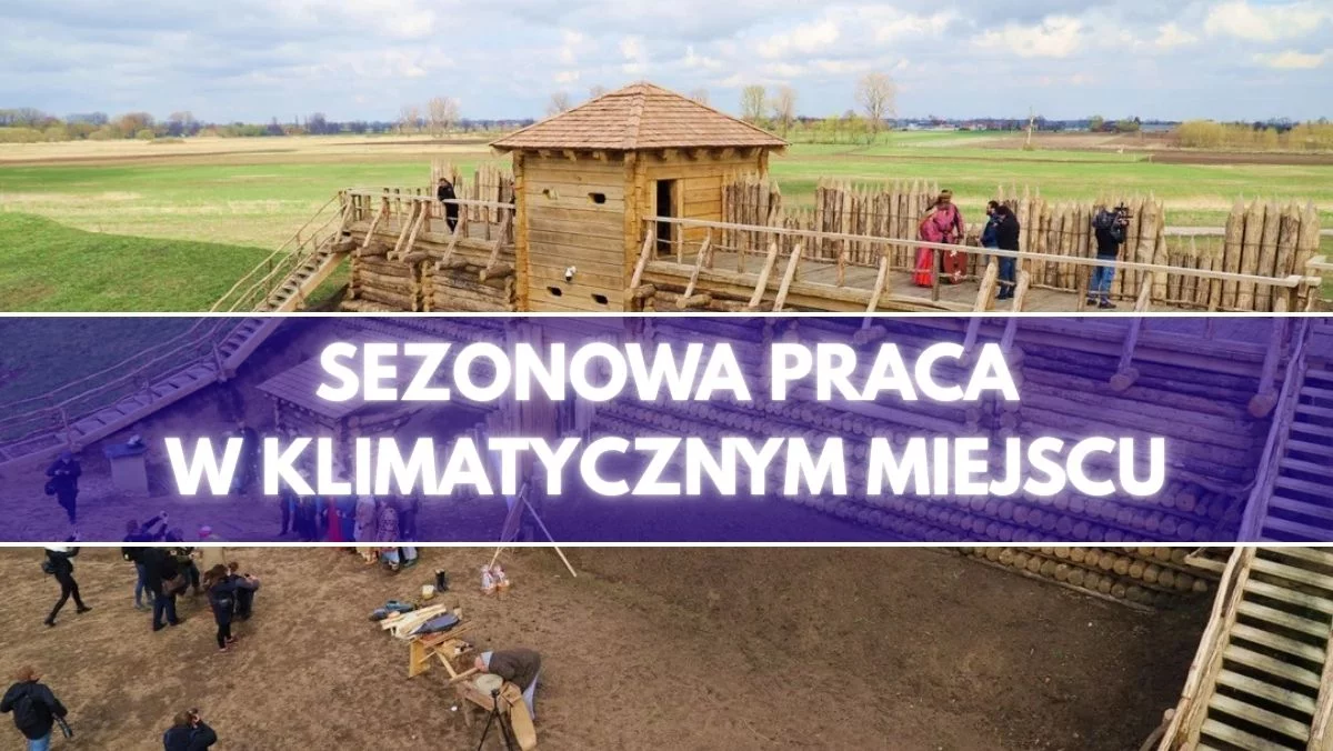 Ciekawa sezonowa praca w woj. łódzkim. Oferują kilka tysięcy i dodatki, wystarczy wykształcenie średnie