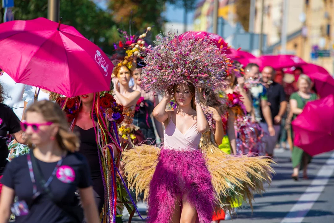 Parada, koncerty i mnóstwo atrakcji. Przed nami szereg wydarzeń [PROGRAM]