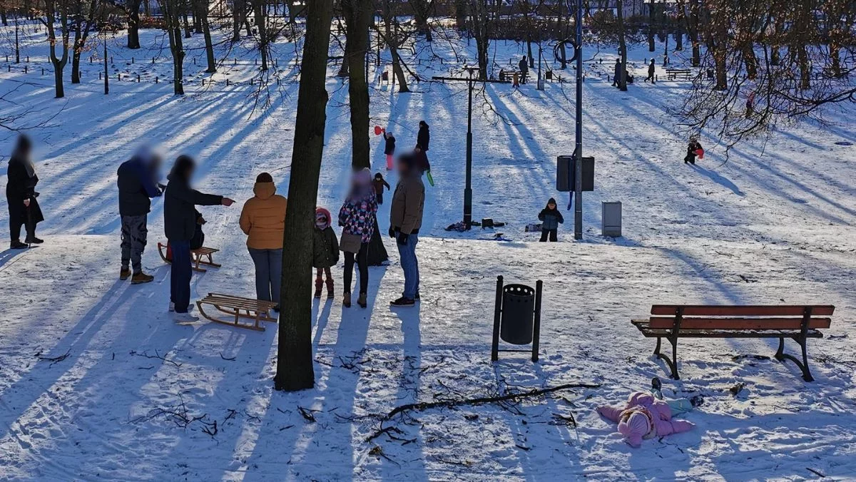 Przyszła prawdziwa zima. Chcesz kupić sanki? W sklepach ich brakuje