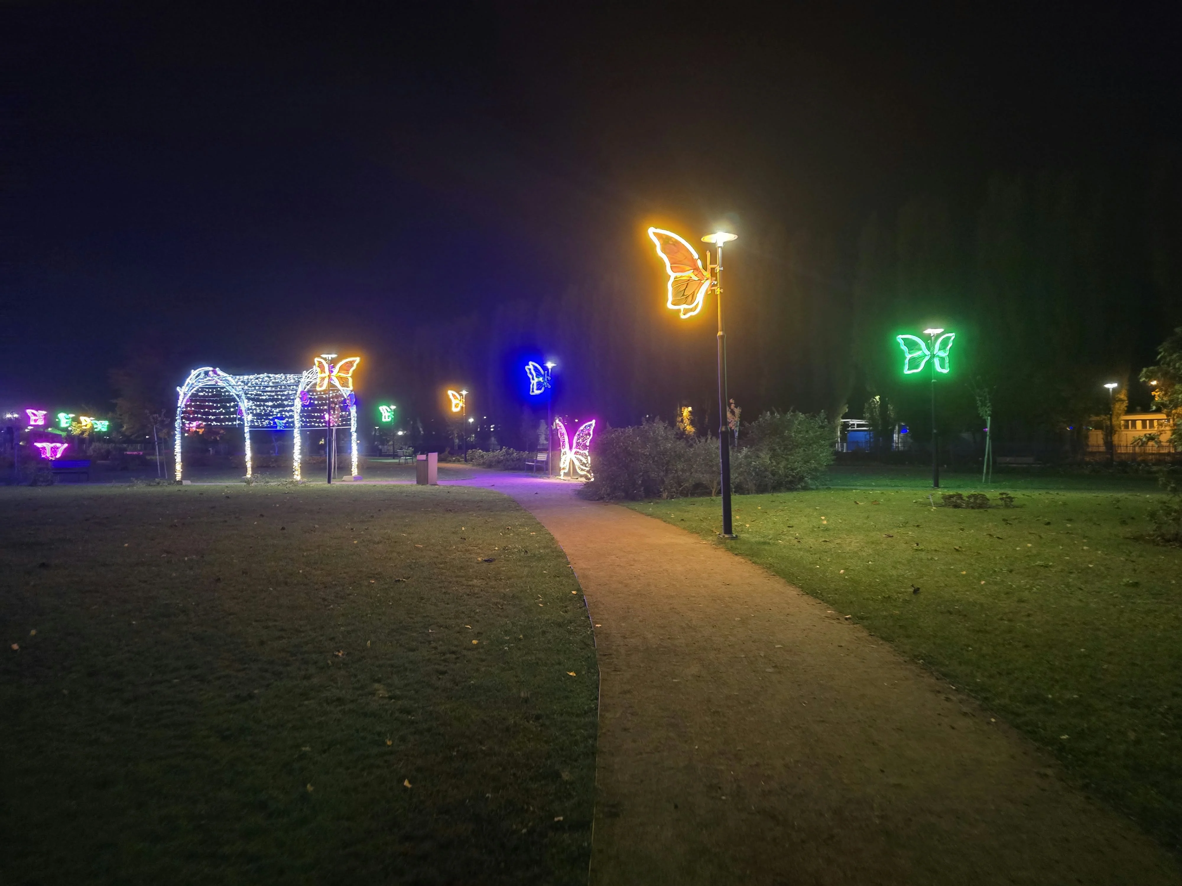 Park nad Ochnią tętni życiem po zmroku. Świetlne instalacje przyciągają mieszkańców