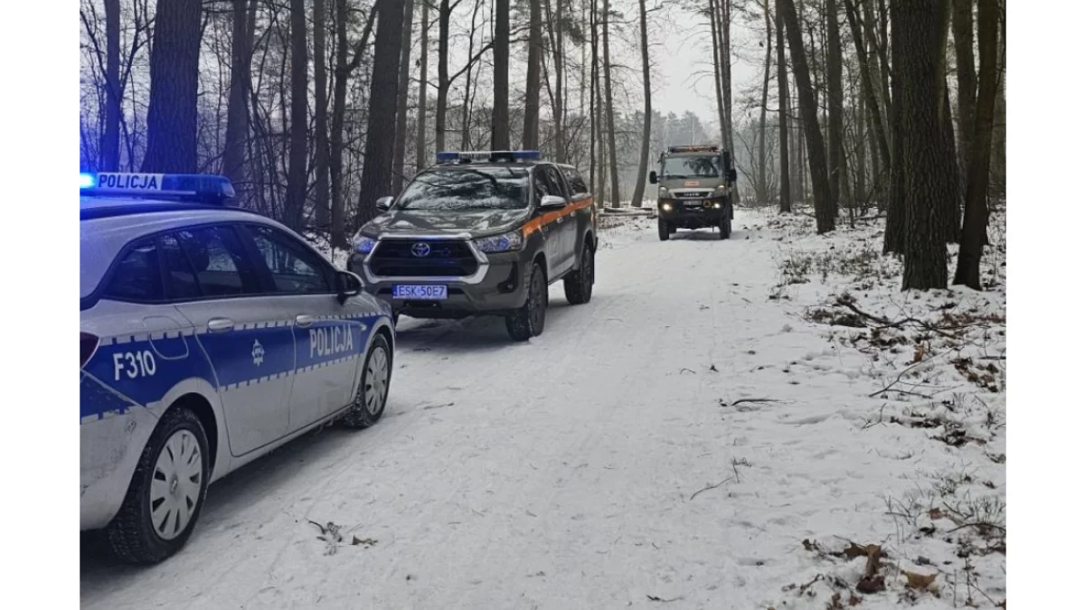 Niecodzienne znalezisko w lesie. Pochodzi z czasów I Wojny Światowej