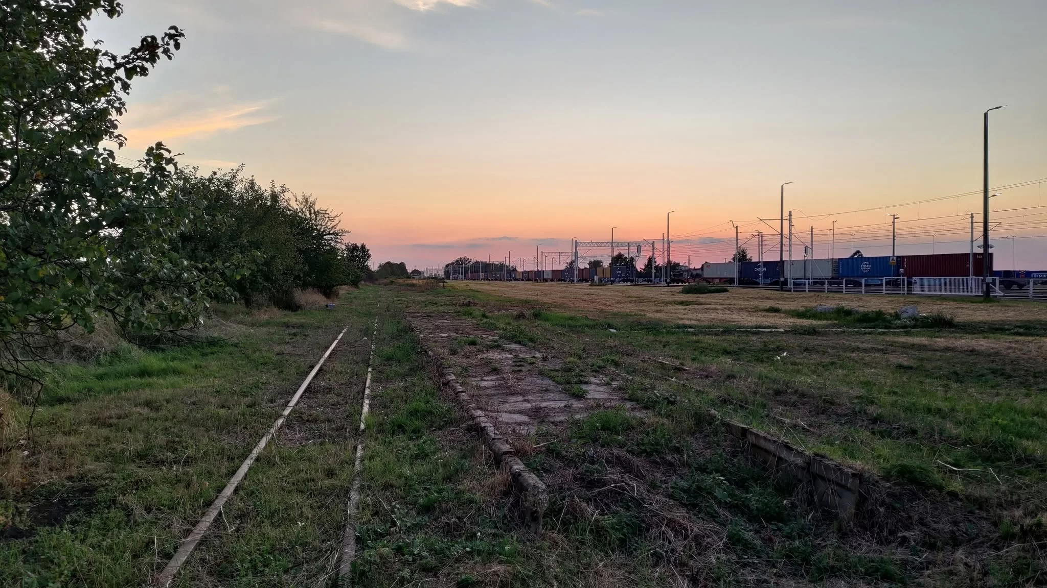 Tak widzą przyszłość krośniewickiej kolejki. To mogłaby być turystyczna perła