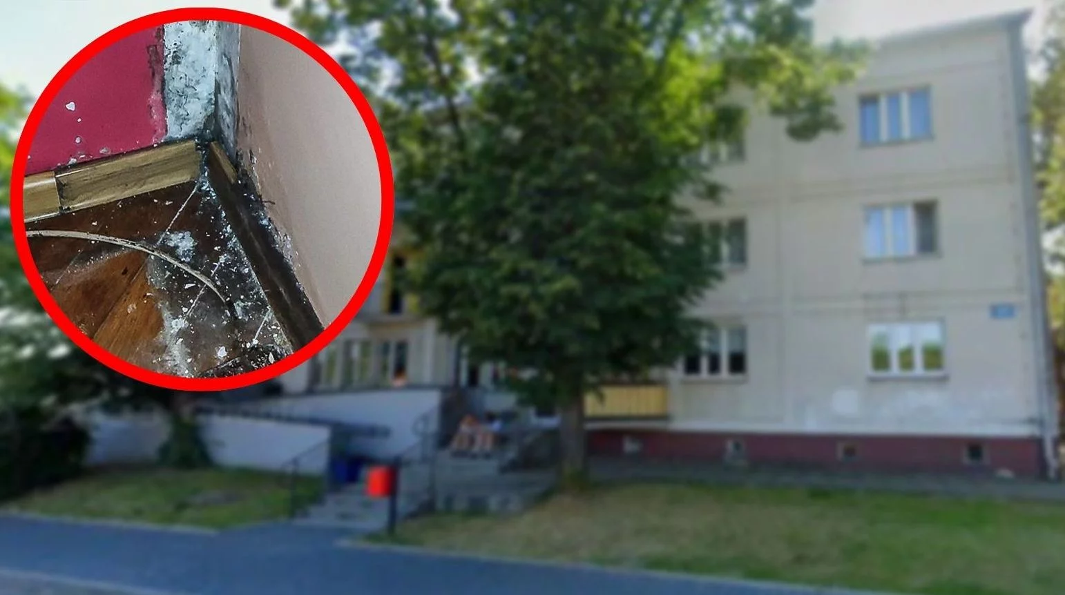 Pleśń, zimno i rosnące rachunki. Mieszkańcy bloku mają dość