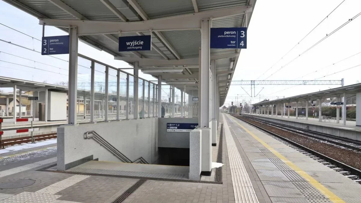 Działania służb na dworcu. Koniecznie było wezwanie wsparcia