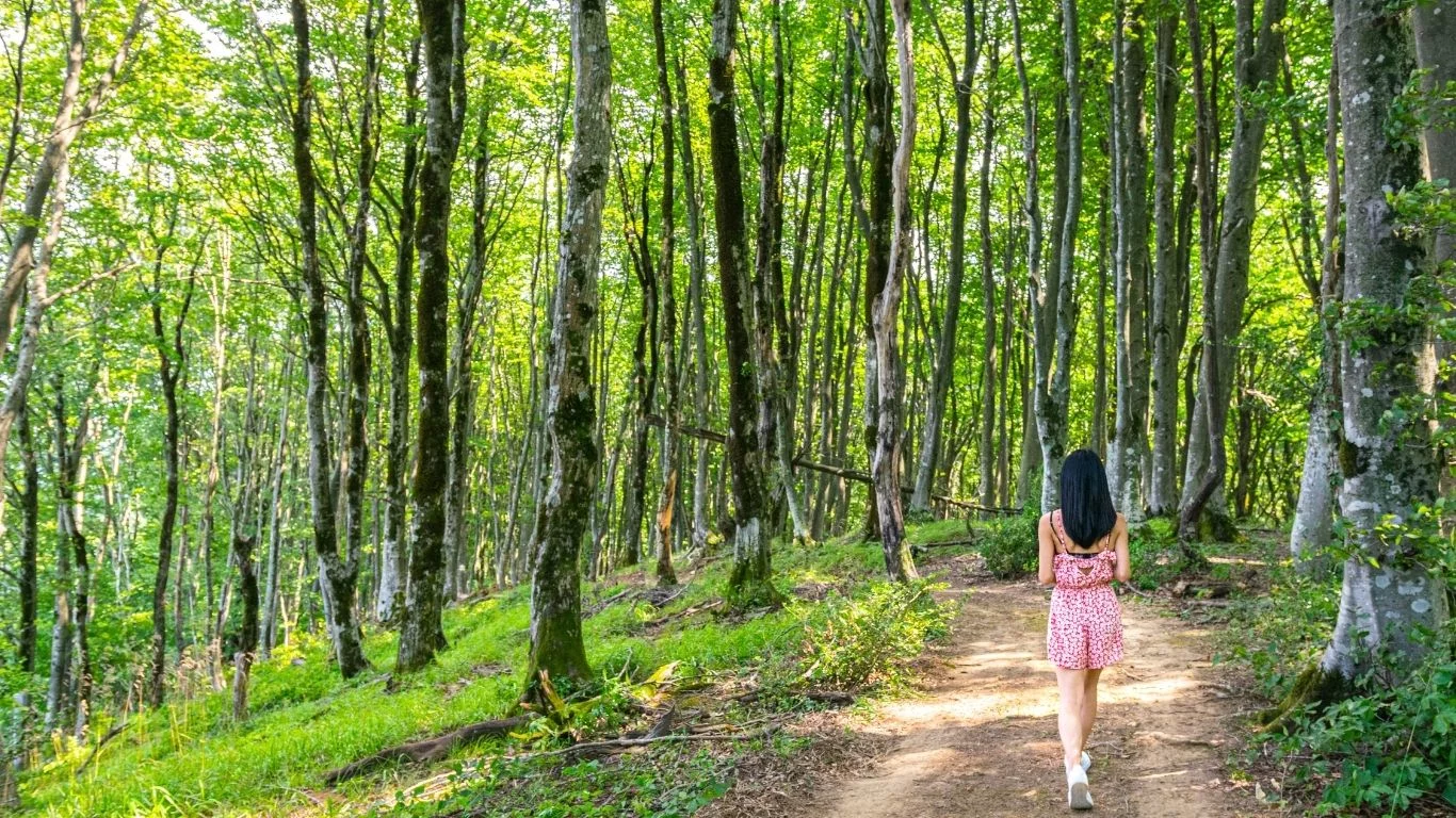AI wybrała niedoceniane miejsca w woj. łódzkim. Wśród nich perełka blisko Kutna