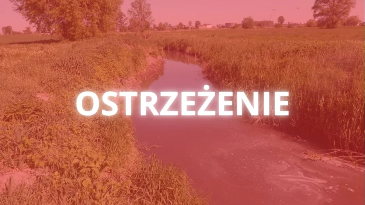 Zagrożenie w woj. łódzkim. Może się rozprzestrzeniać, wydano komunikat