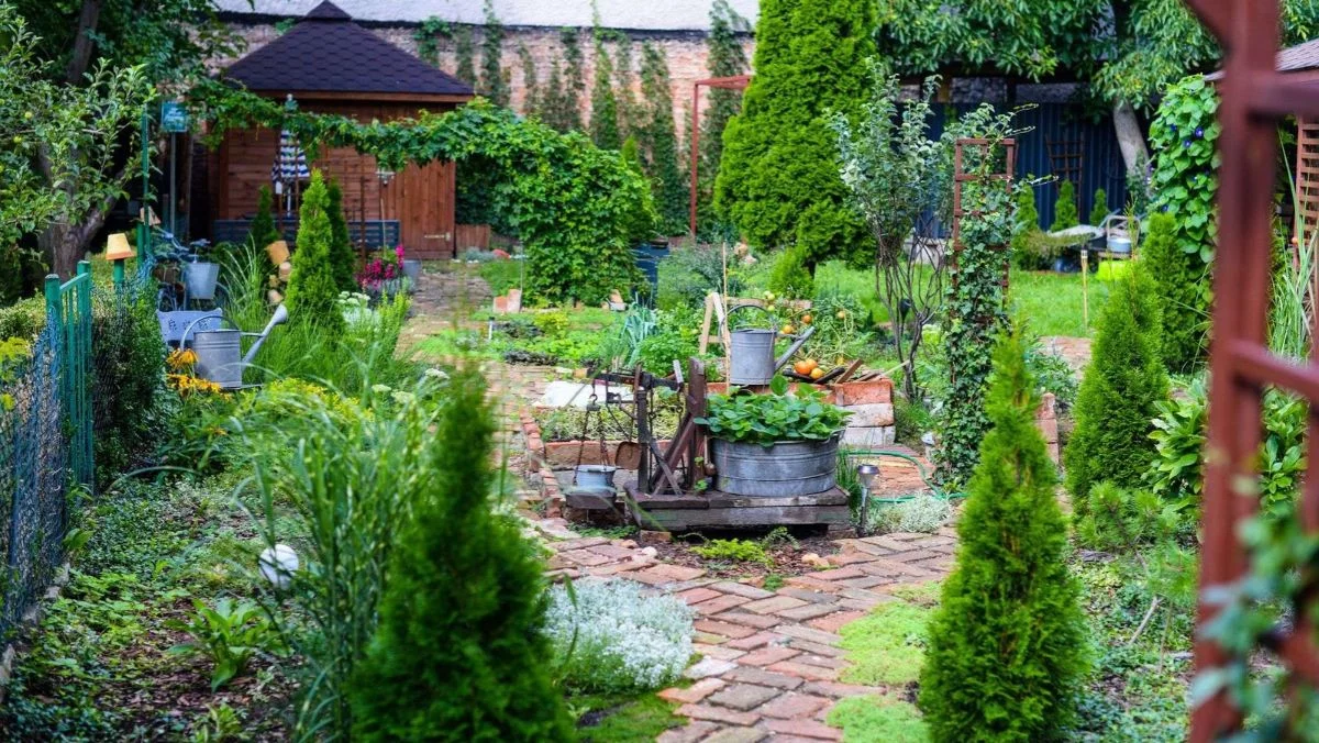 Będą pieniądze dla działkowców? Chodzi o choćby 30 tys. zł. Decyzja już wkrótce