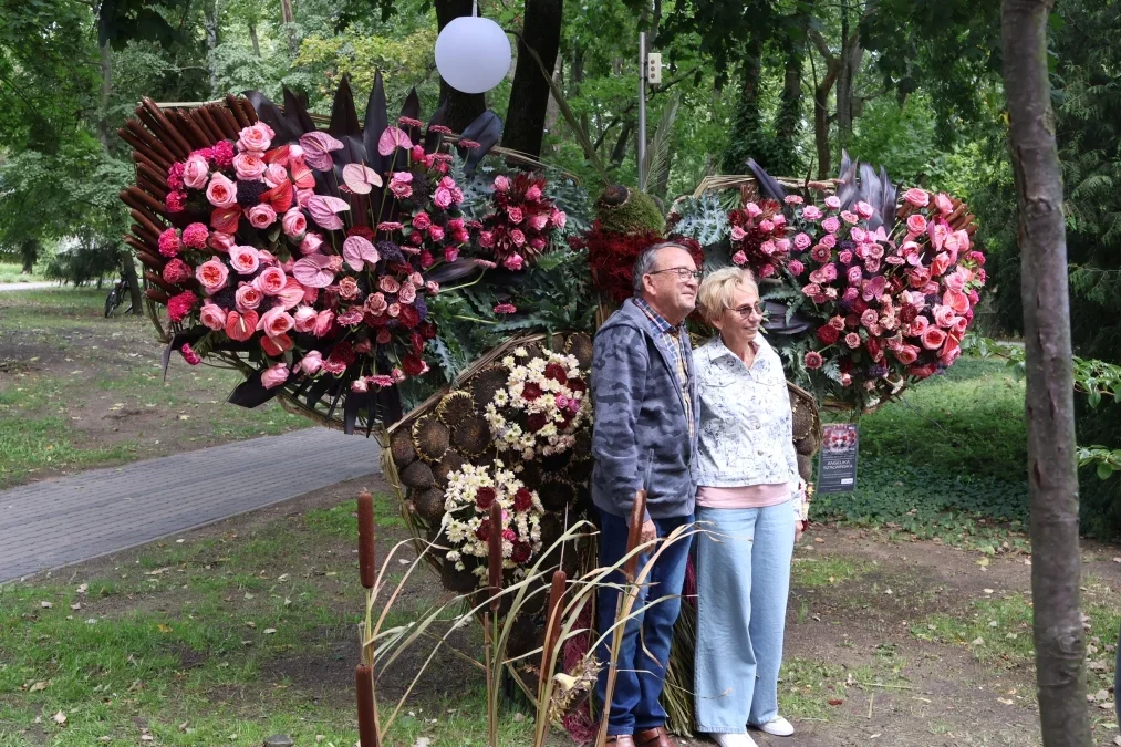 Święto Róży już za nami, ale ćma została w Kutnie. Teraz można ją spotkać w innym miejscu