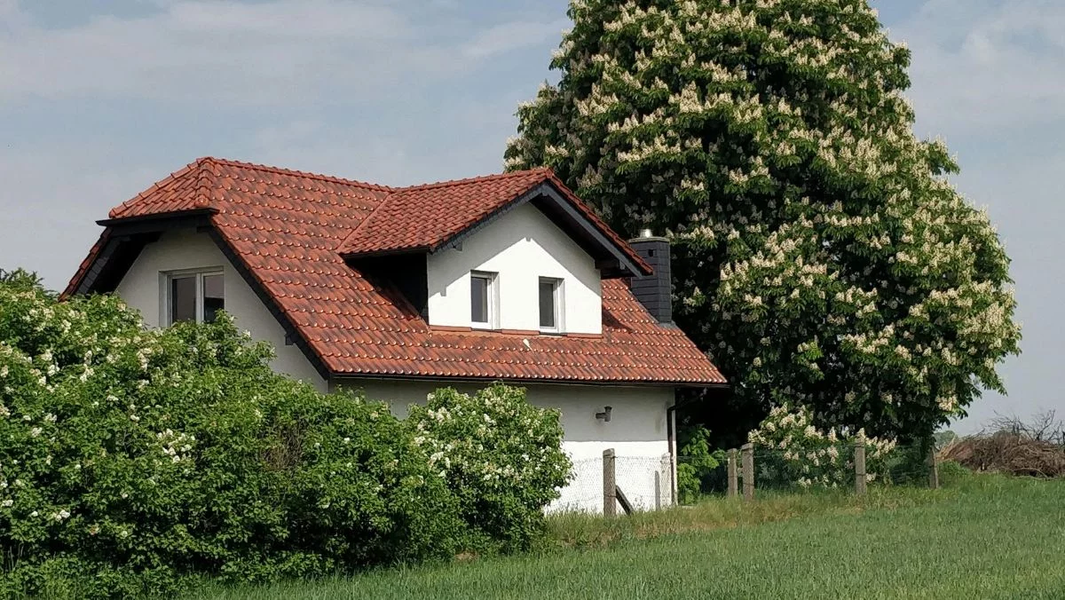 Właściciele domów z woj. łódzkiego mogą dostać 8 tys. złotych. Wystarczy złożyć wniosek