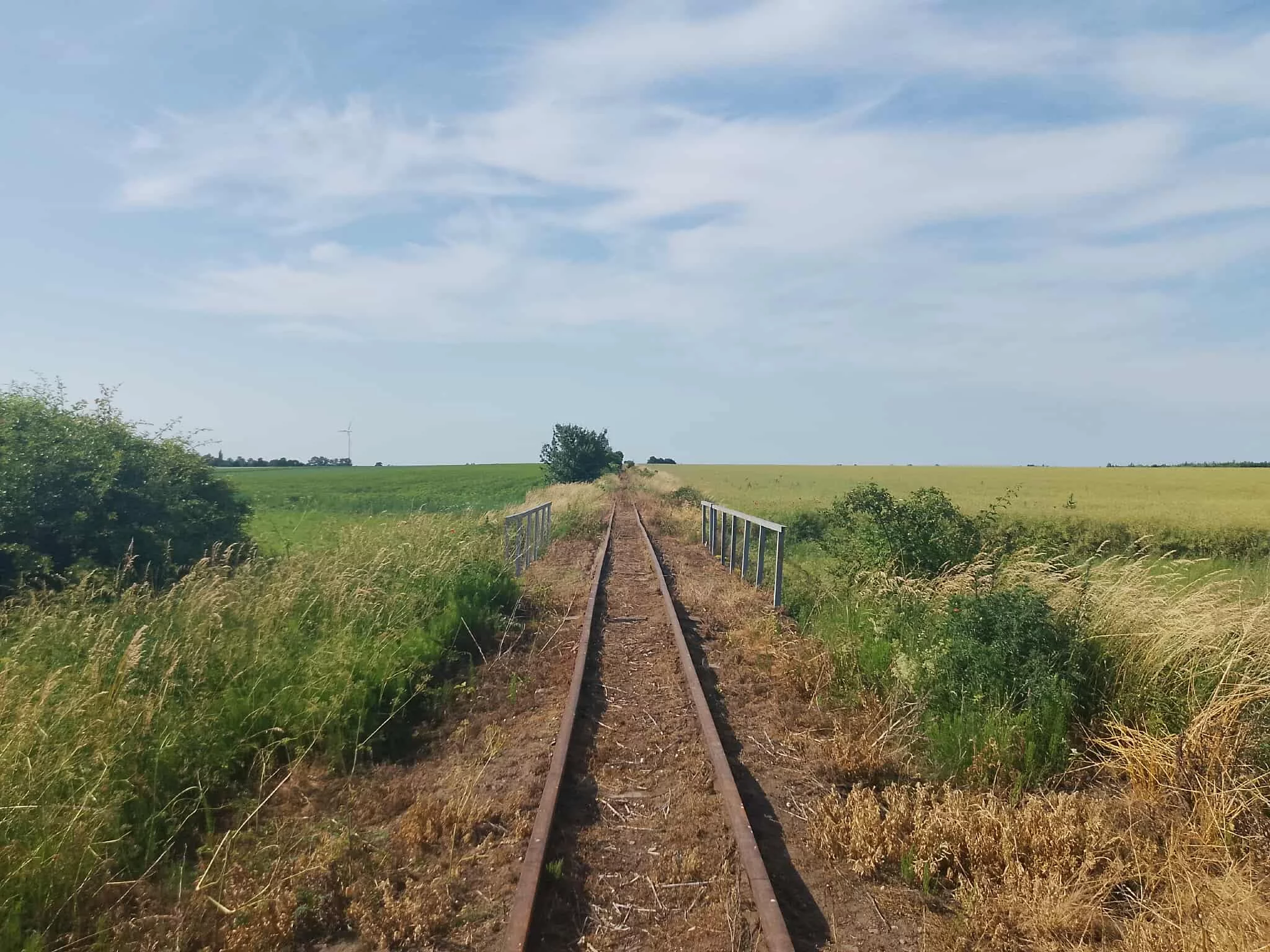 Chcą uratować krośniewicką kolej przed zapomnieniem. „Nie możemy stać z boku”