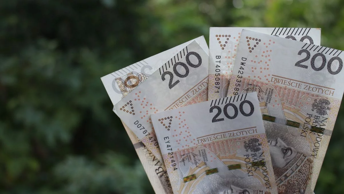 Sezon grzewczy coraz bliżej. Ceny pelletu mogą zaskoczyć Polaków