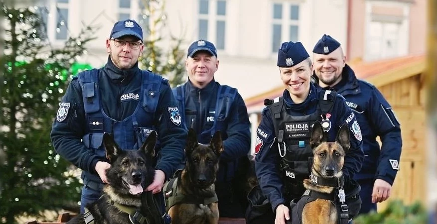 Karma zamiast fajerwerków. Policjanci z Kutna włączają się w ogólnopolską akcję