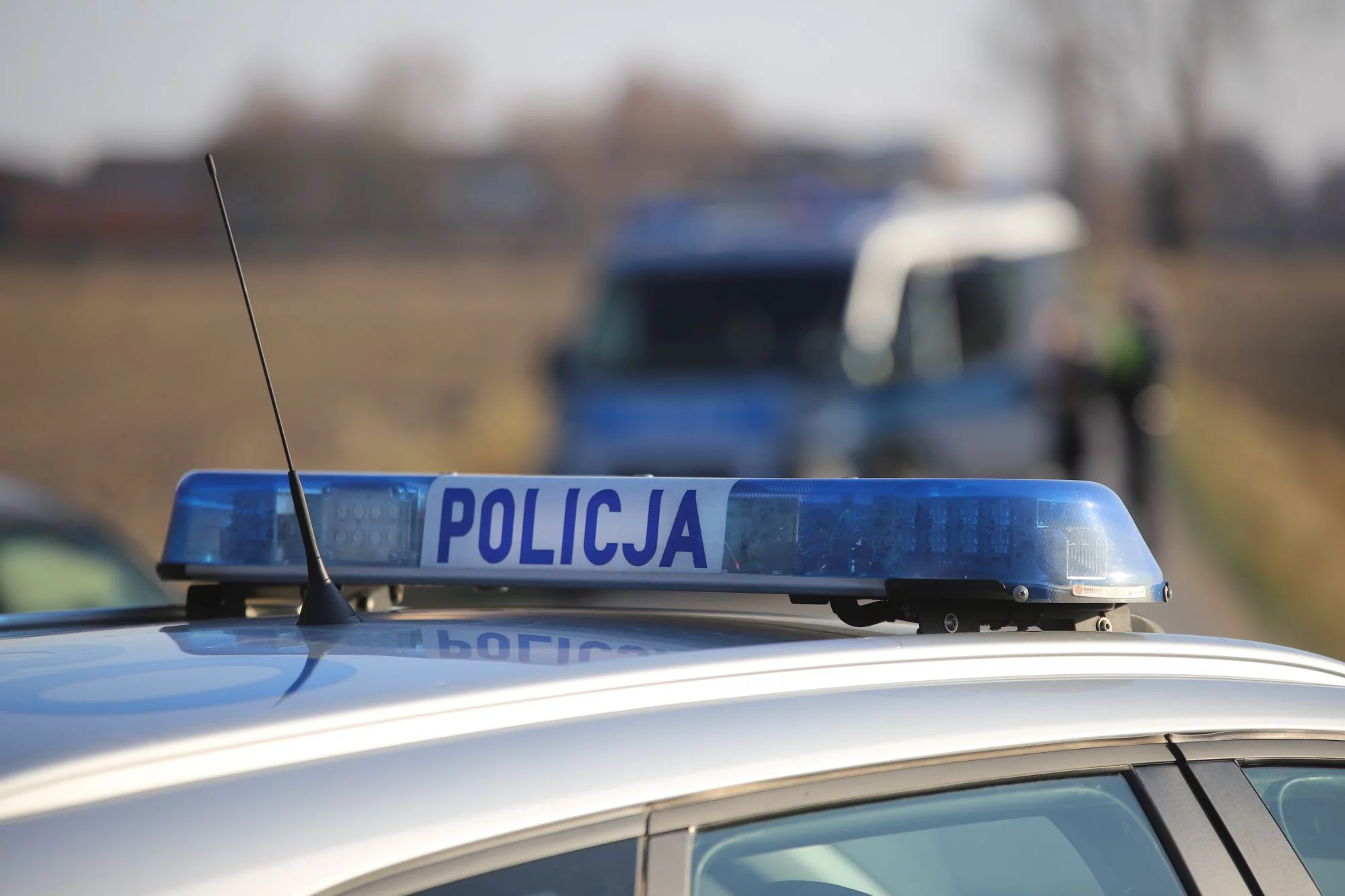 Dzikie zwierzę potrącone przez auto. Policja apeluje do kierowców