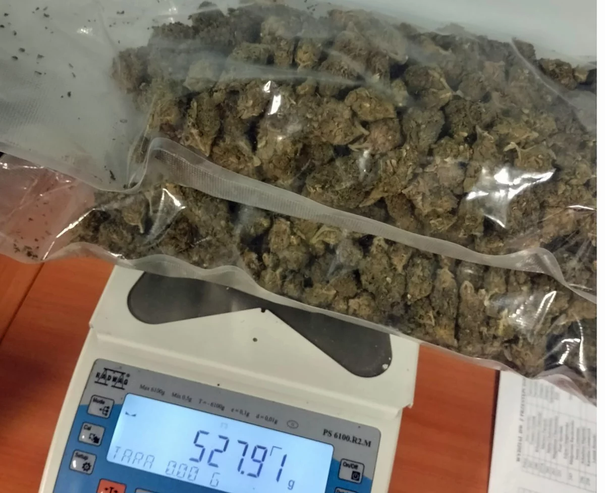 Policyjna akcja w Płocku. Znaleziono ponad pół kilograma narkotyków!