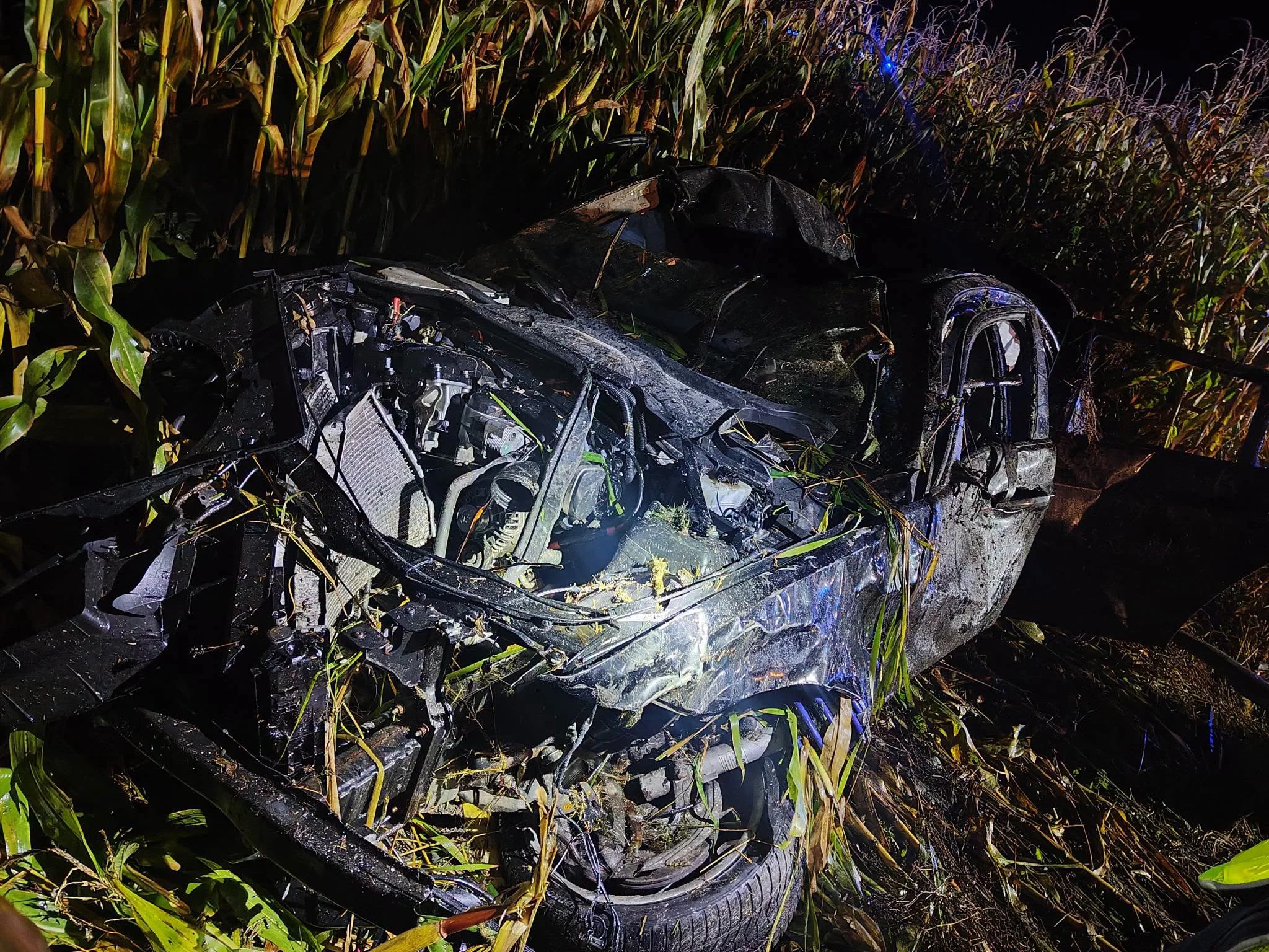 Jedna osoba nie żyje, trzy osoby ranne. Tragedia w ciemnościach. Zderzenie BMW z łosiem