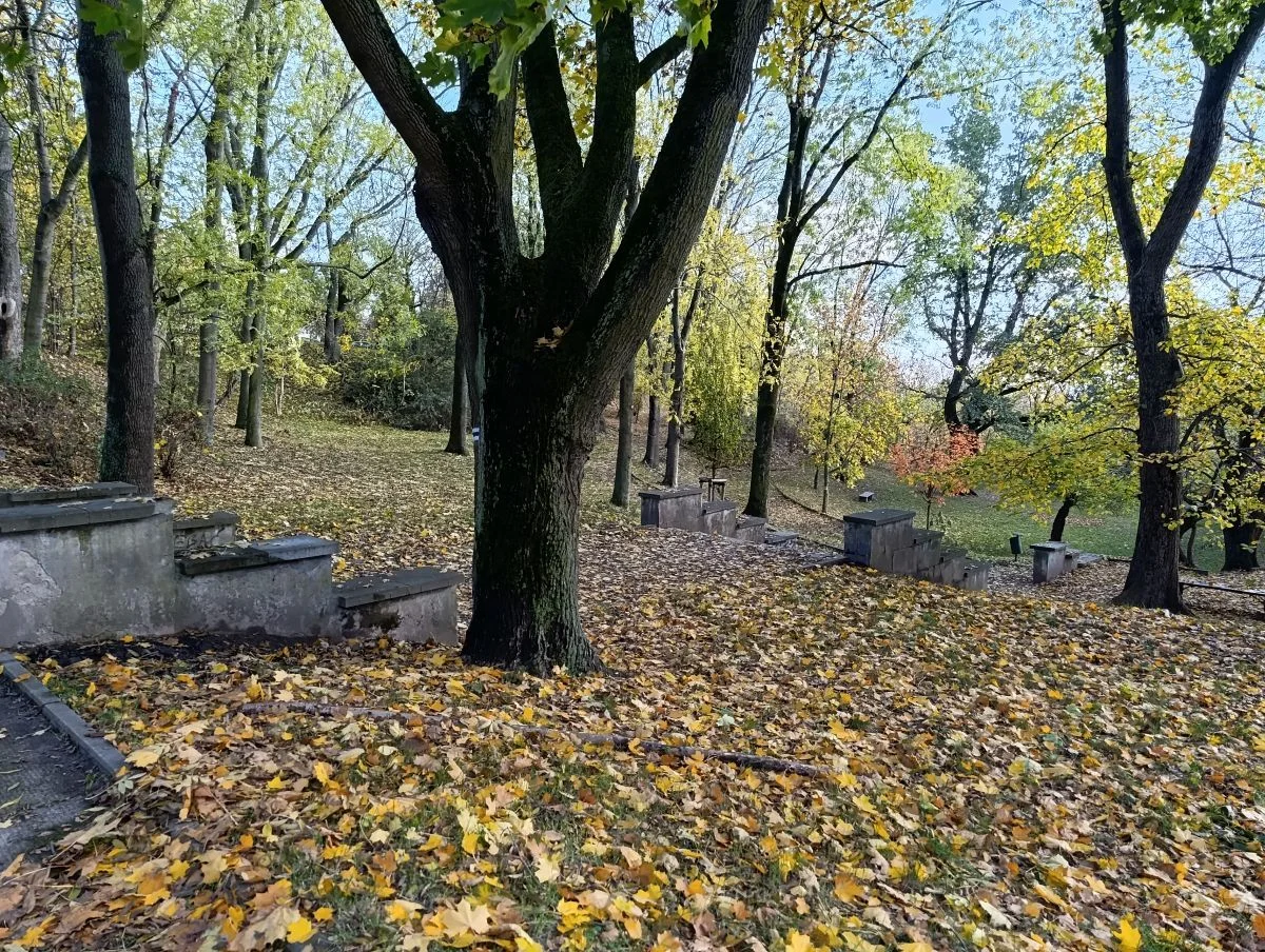 Park na Górkach czekają zmiany. Co będzie w nim innego?