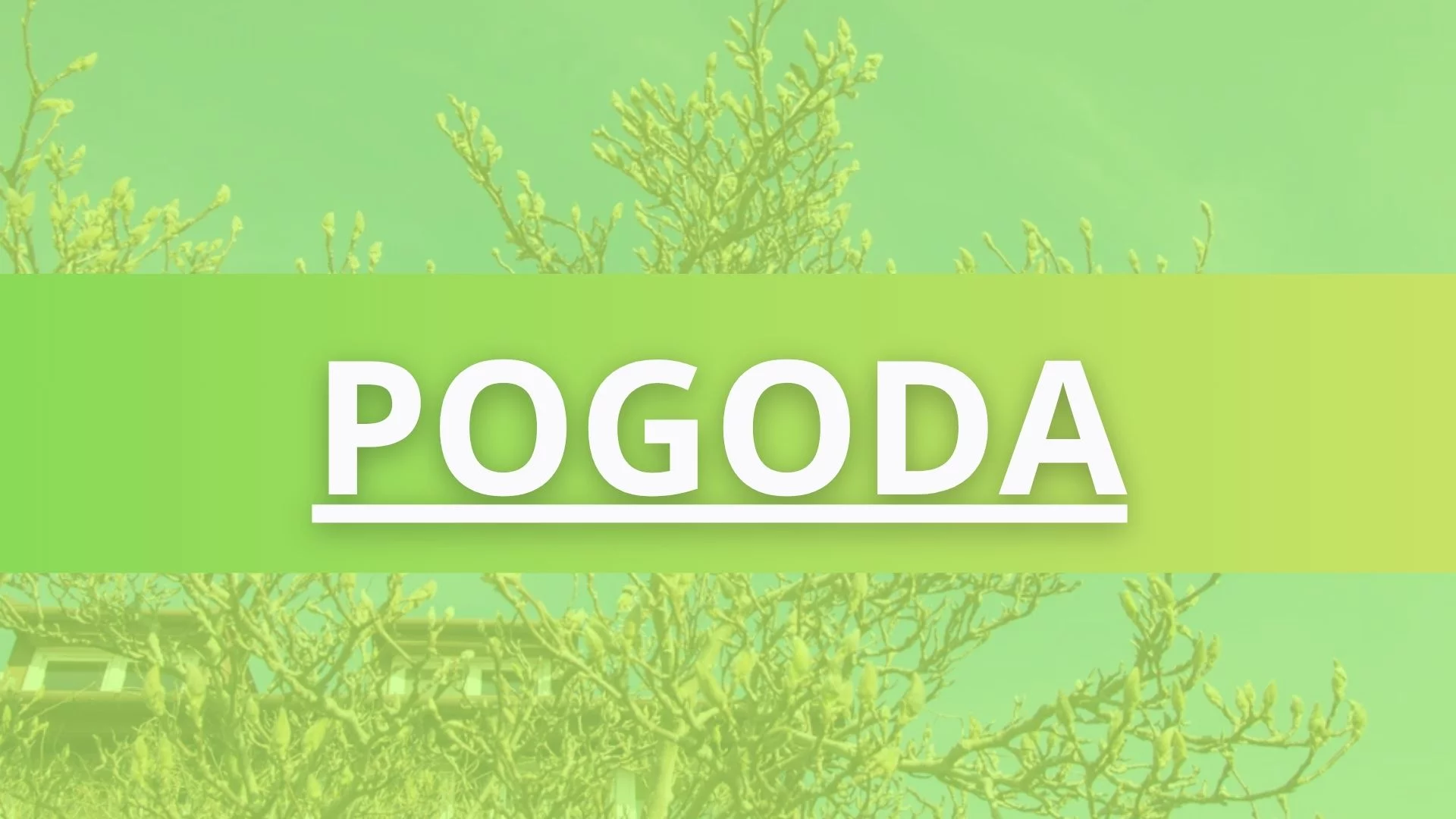 Tak będzie wyglądał ostatni tydzień maja na Mazowszu. Synoptycy ostrzegają przed tym zjawiskiem