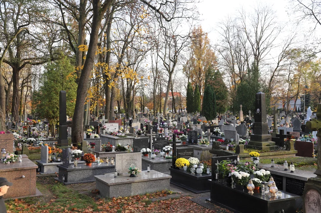 Wszystkich Świętych w niedzielę. Czy 2 listopada będzie dniem wolnym? Jest odpowiedź