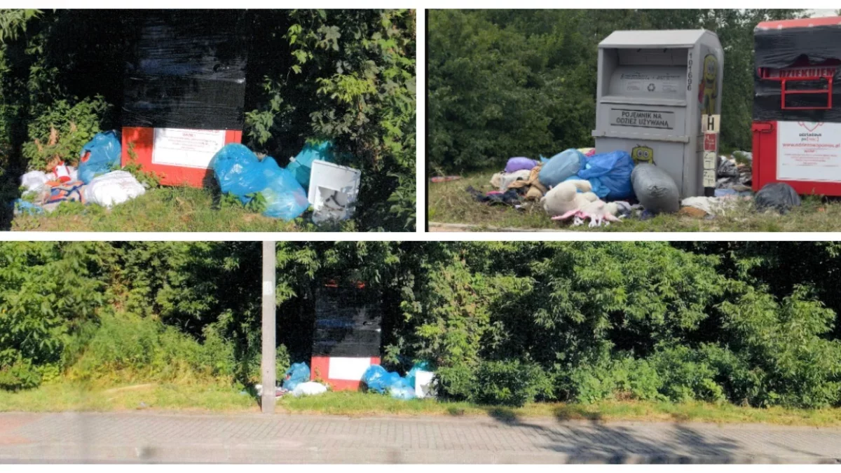 Pojemniki na odzież i tekstylia wracają do Płocka. Wiemy kiedy oraz ile ich będzie