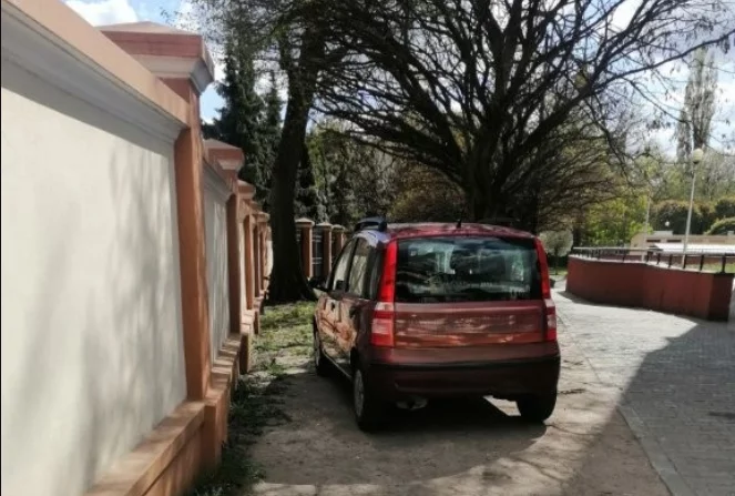 Parkują na terenach zielonych, ale jest problem, by ich ukarać. Szkopuł tkwi w interpretacji przepisów