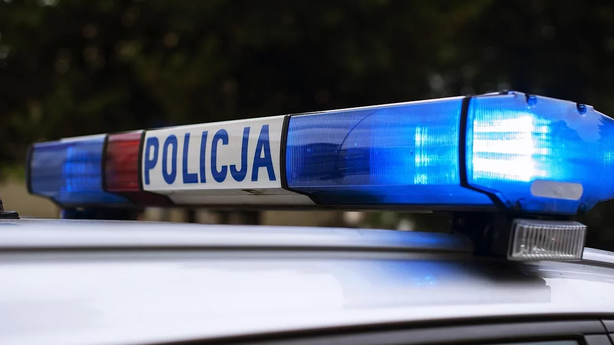 Makabryczne odkrycie w Płocku. Podczas spaceru natrafiła na martwe zwierzę: "został prawdopodobnie spalony"