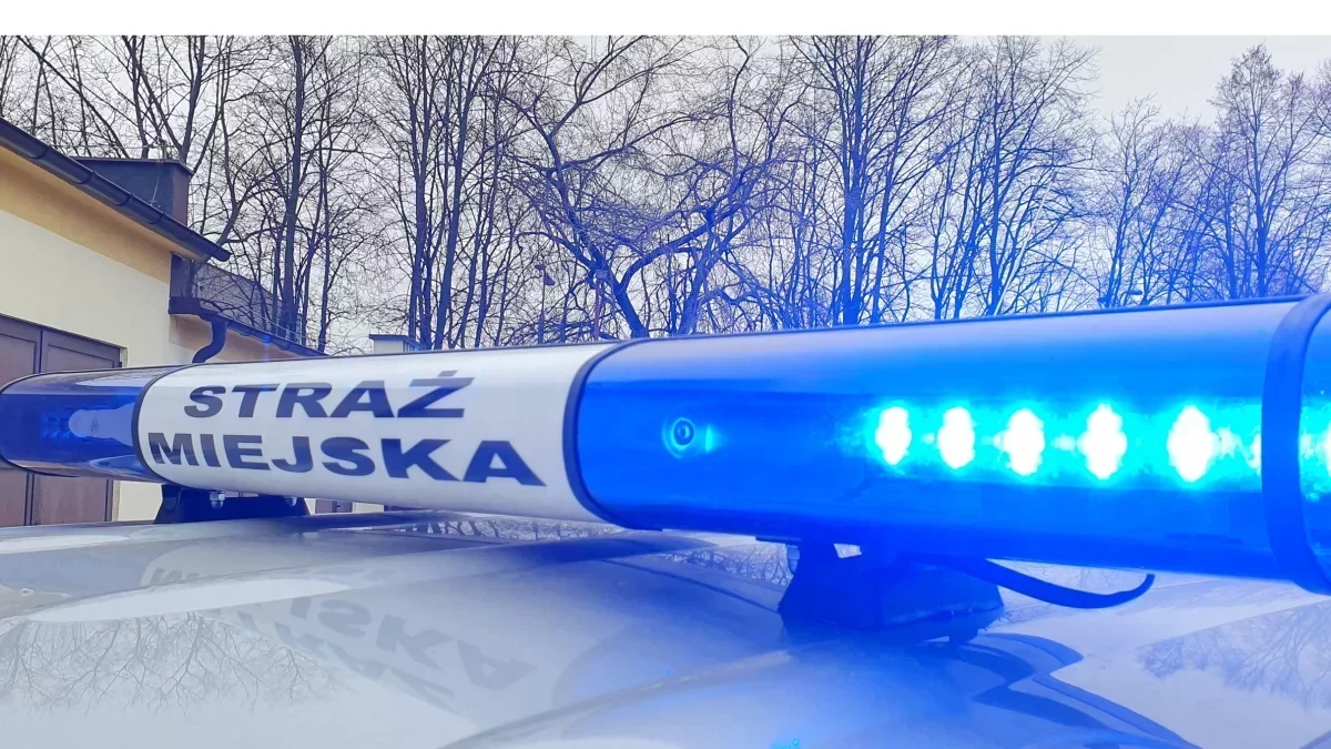 92-latek błąkał się po osiedlu. Był wycieńczony i potrzebował pomocy!