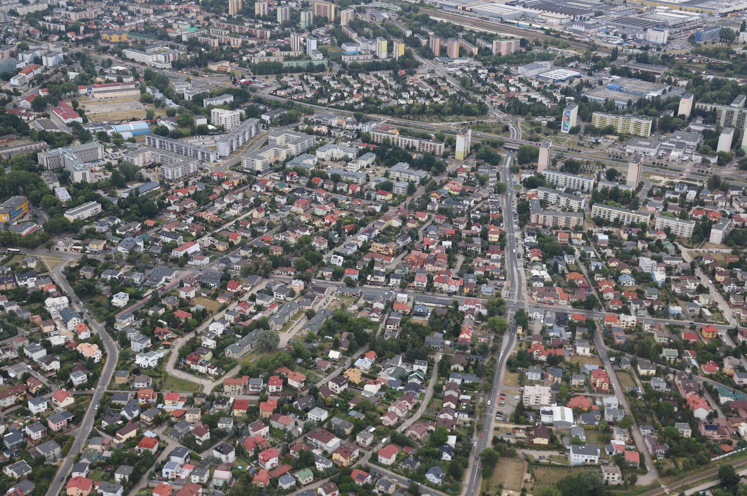 Groźne psy terroryzują miasto. Rzucają się na inne zwierzaki, a ludzie pytają: czy musi się wydarzyć tragedia?