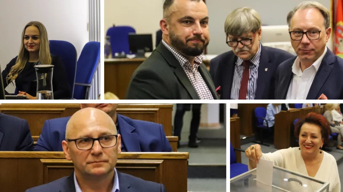 Miliony złotych oszczędności, nieruchomości i leasingi. Oto majątki płockich radnych z Polskiego Stronnictwa Ludowego [OŚWIADCZENIA MAJĄTKOWE]