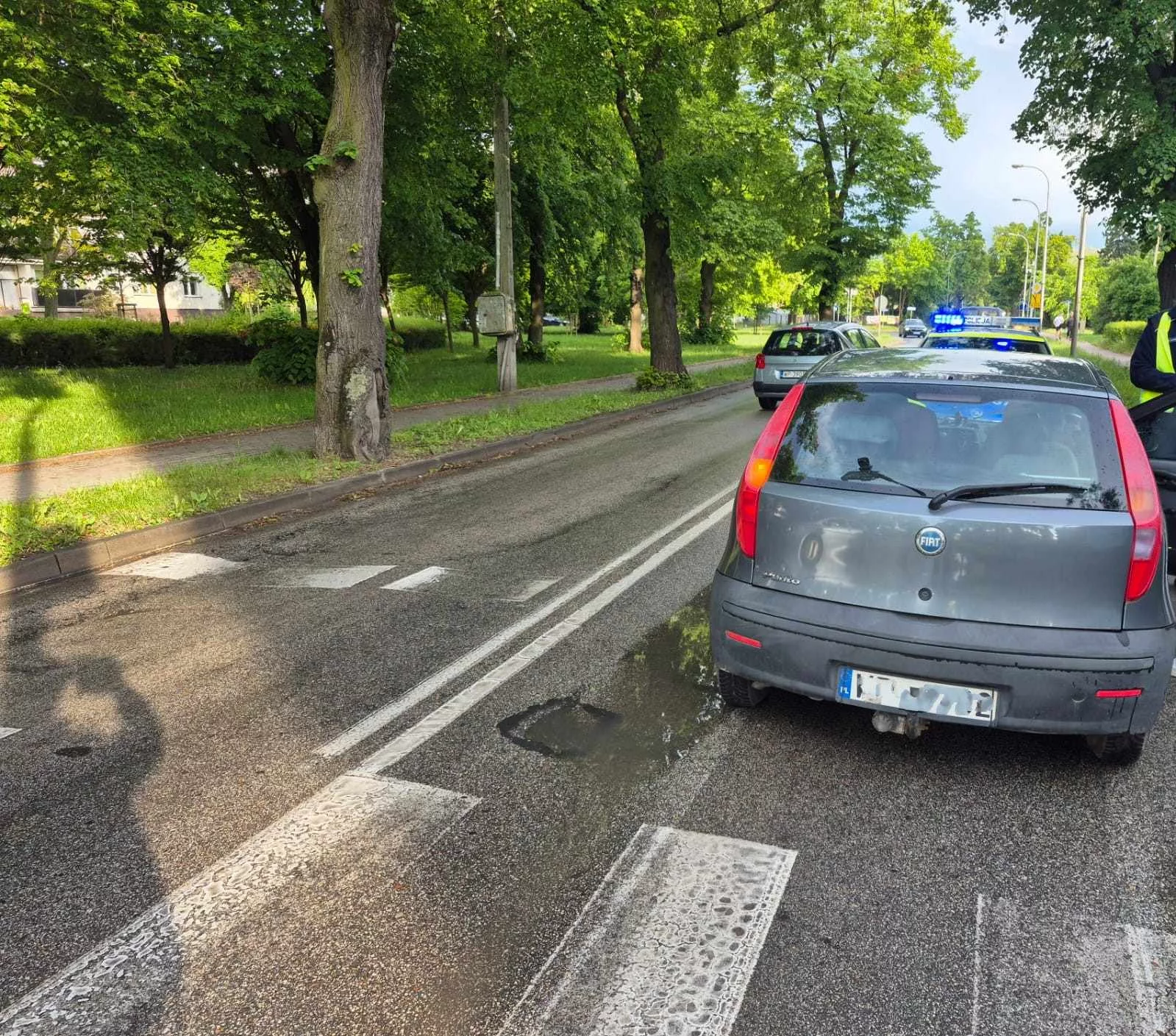 Znów piesza pod kołami samochodu na pasach w Płocku! Uwaga, są utrudnienia