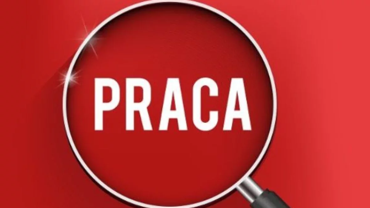 8400 zł  „do ręki” i darmowe mieszkanie na Mazowszu. Praca marzeń czy „niewolnictwo”?