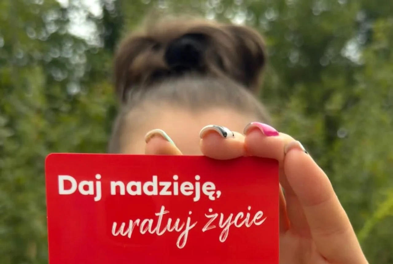 Akcja przed meczem Ligi Mistrzów w płockiej Orlen Arenie. Szukają bliźniaka dla Ani. To nic nie kosztuje, a może uratować życie!