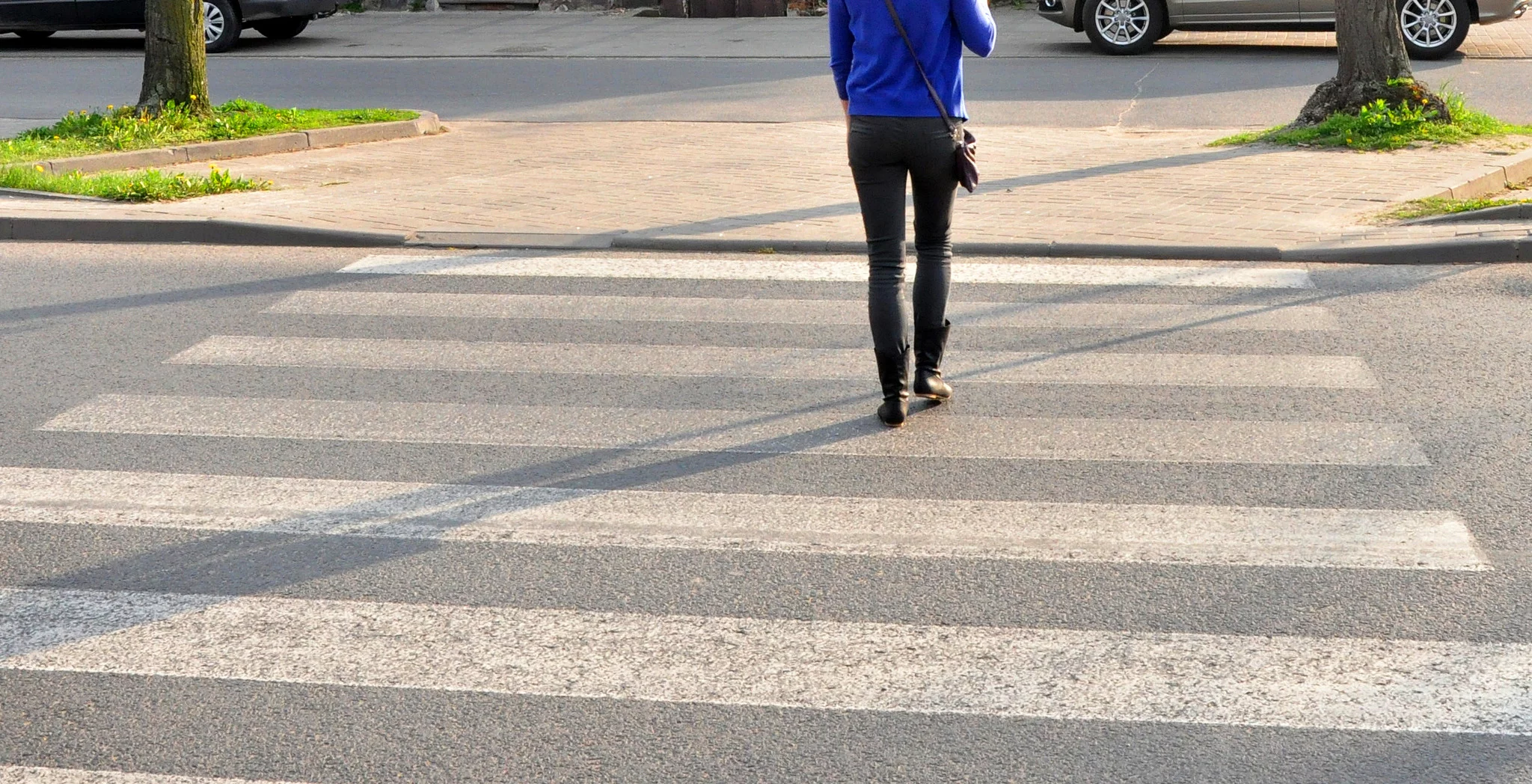 Nowe przejście dla pieszych i progi zwalniające w Płocku? Przeszkadzają... drzewa