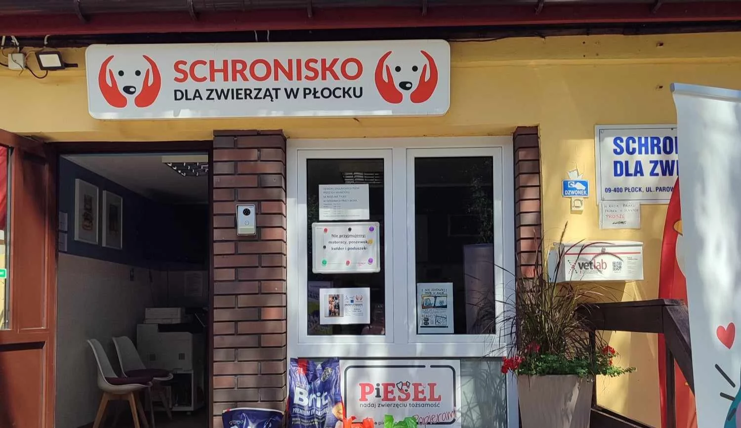 Duże zmiany w płockim schronisku. Co na to wolontariusze?