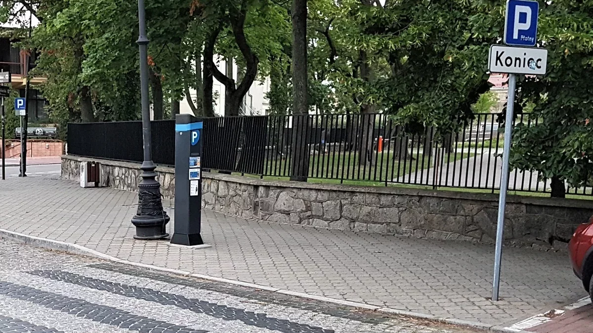 Psychologia tłumu, ignorowanie czy nieznajomość przepisów? Mandaty się sypią