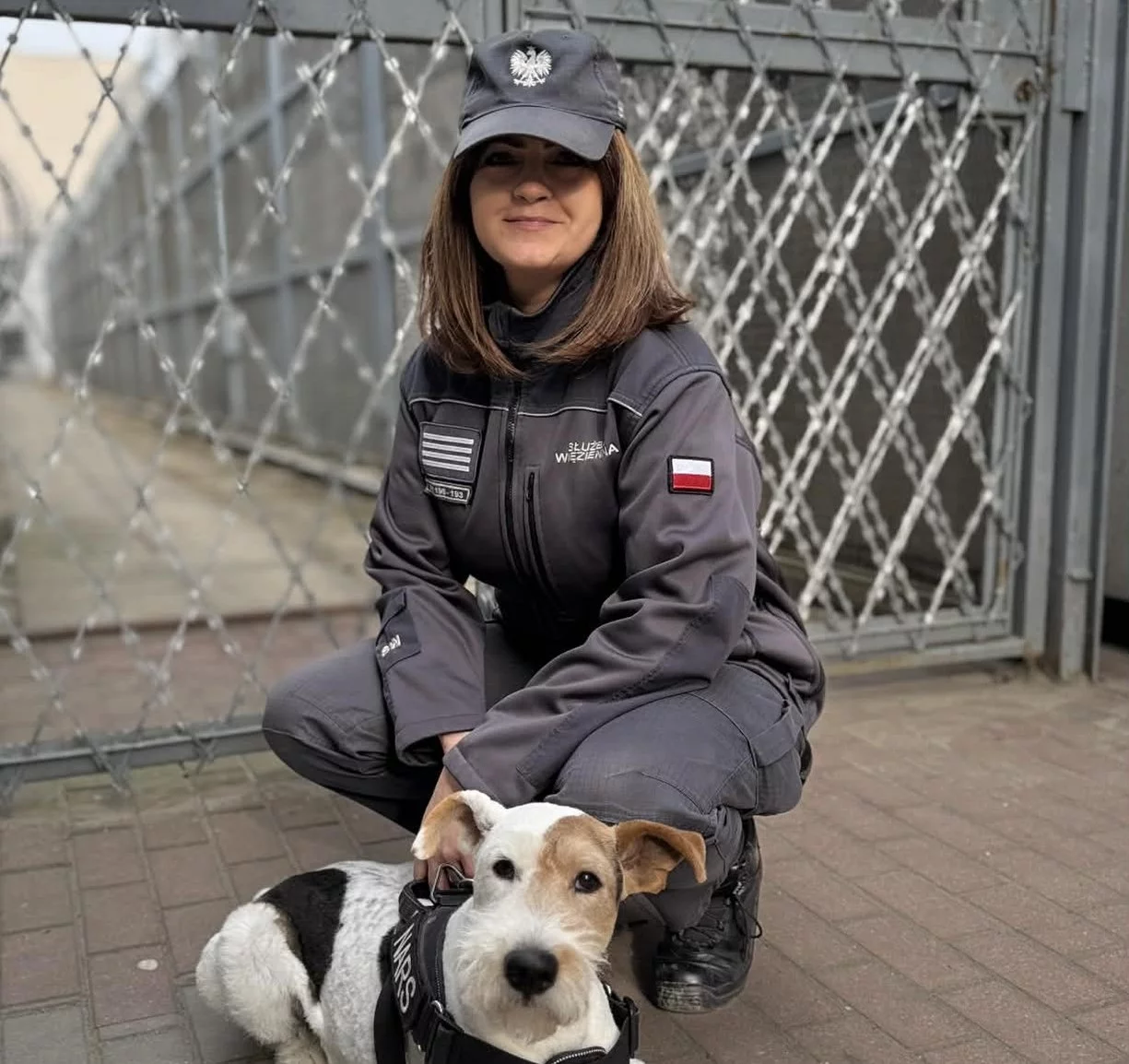 Stosował przemoc wobec kobiety. istotny gest żabolki Służby Więziennej: "Reagowanie ma znaczenie"