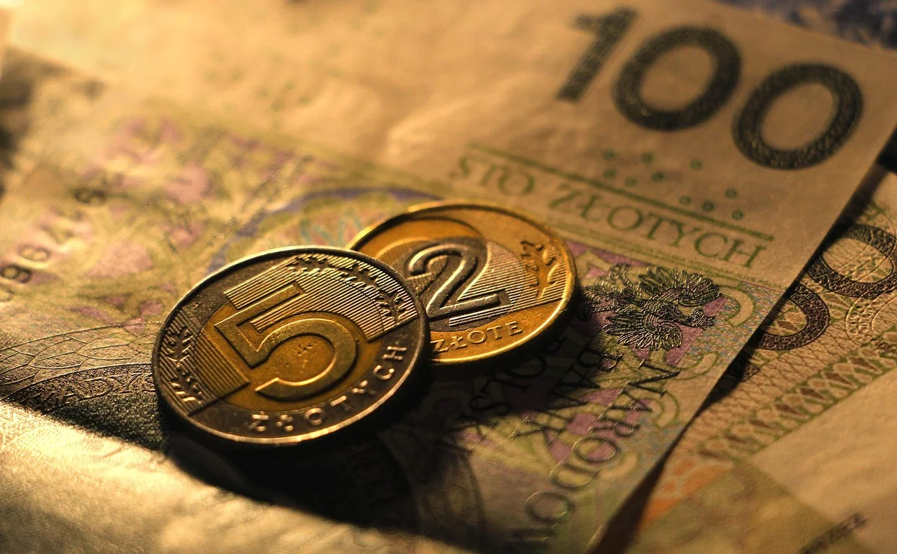 Oferują ponad 50 tys. zł w Płocku. Sprawdź, czy się kwalifikujesz