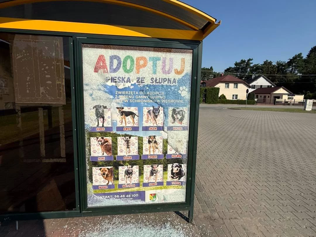 Problematyczny... przystanek? Wandale znów w akcji. "Temat zgłaszali do mnie mieszkańcy"