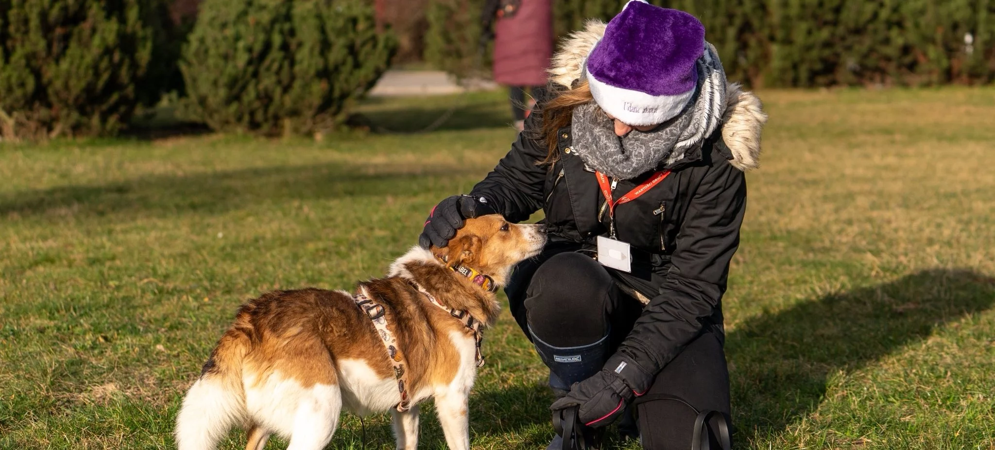 Wolontariuszom płockiego schroniska zaproponowano porozumienie. "Znacząco ogranicza prawa"