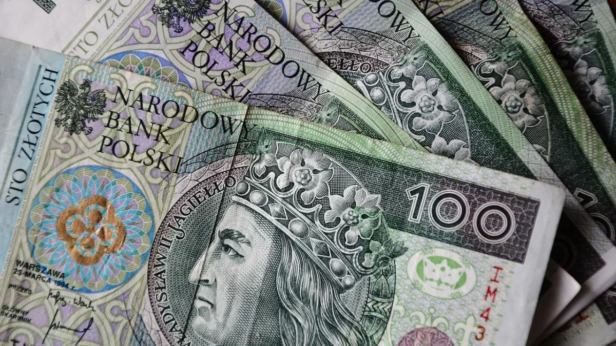 Komornik może zabrać część renty lub emerytury. choćby 60% za dług alimentacyjny i 65% za pobyt w DPS czy ZOL-u