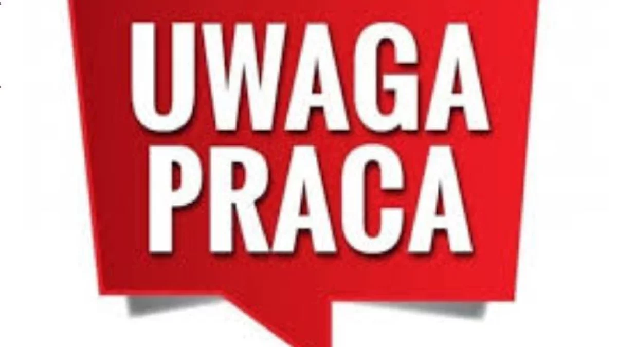 Praca dodatkowa w Płocku. Ile można zarobić?