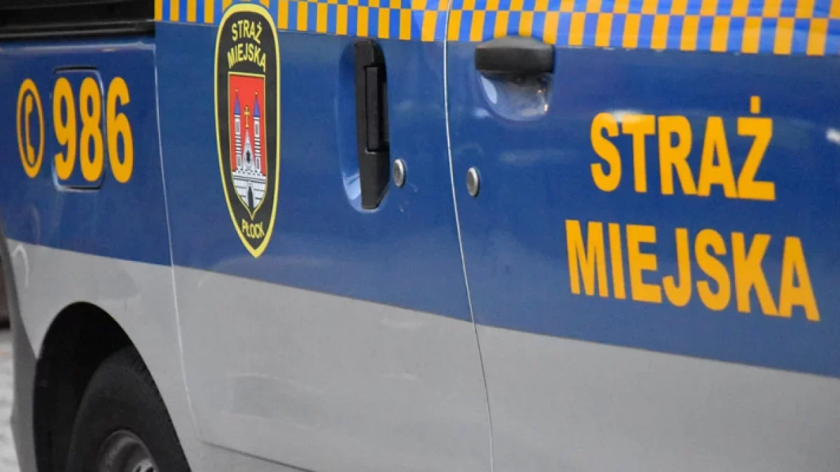 Jechał slalomem przy płockiej podstawówce! Miał ponad dwa promile