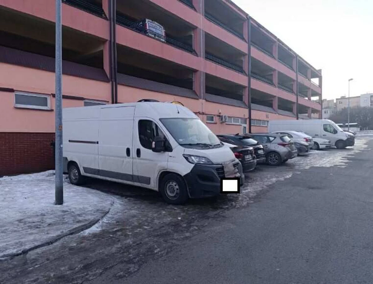 Pies został w aucie, a na dworze mróz. Służby przypominają, iż to bardzo niebezpieczne