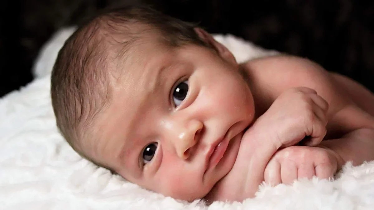 Zapaść demograficzna w powiecie płockim. Tylko jedna gmina "wyszła na zero"