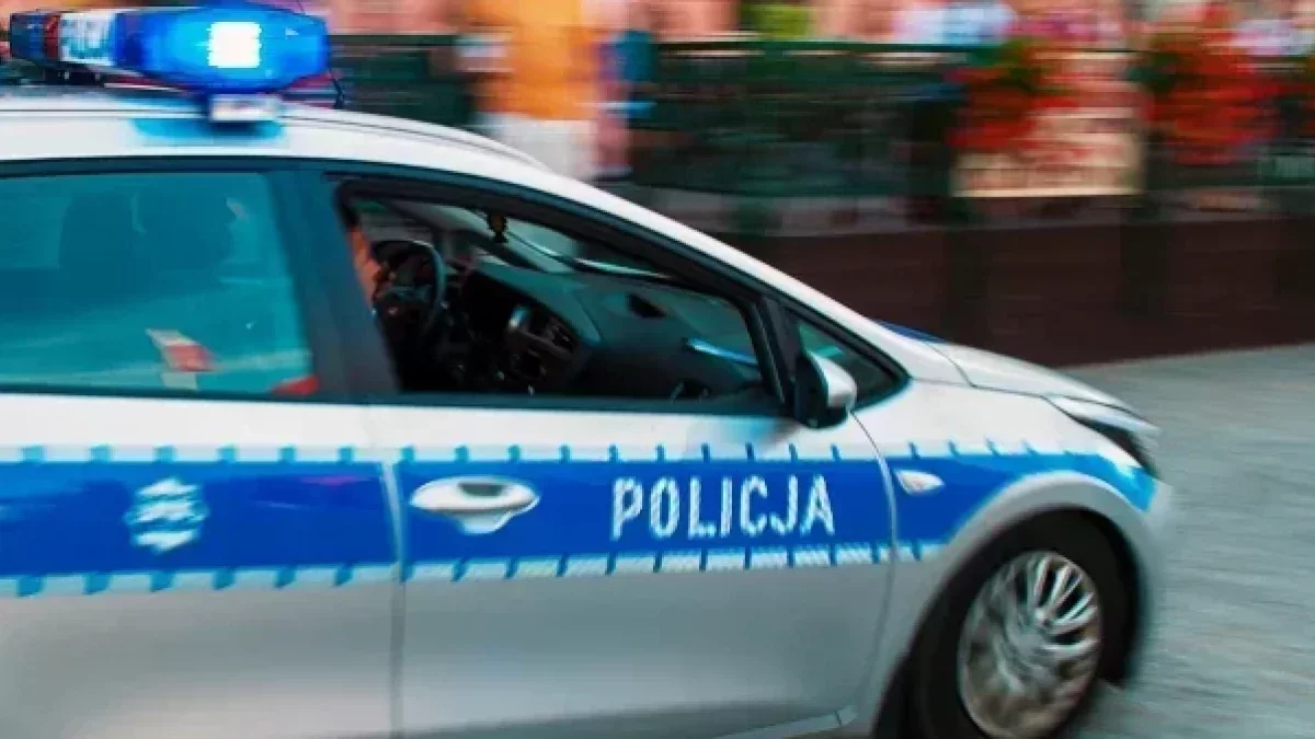 Coraz więcej kierowców odmawia mandatu. Sprytny sposób czy ryzykowna gra?